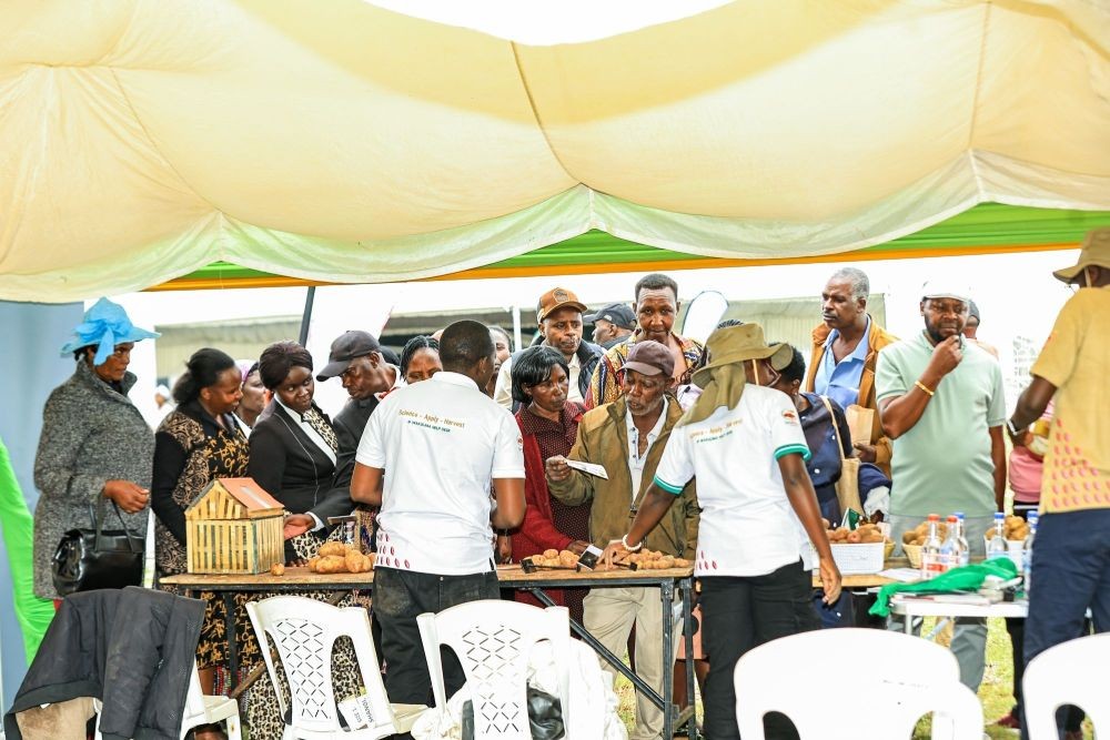 International Potato Day 2026: Meru Hosts Landmark Celebration as Youth, Innovation and Global Leaders Drive Sector Transformation 6 International Potato Day 2026: Meru Hosts Landmark Celebration as Youth, Innovation and Global Leaders Drive Sector Transformation