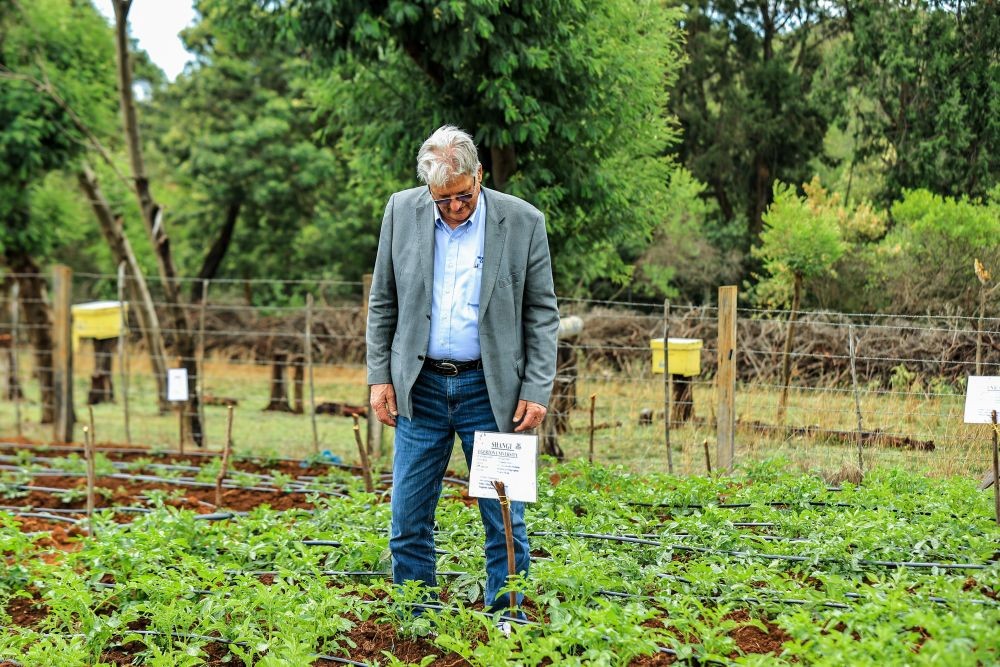 International Potato Day 2026: Meru Hosts Landmark Celebration as Youth, Innovation and Global Leaders Drive Sector Transformation 3 International Potato Day 2026: Meru Hosts Landmark Celebration as Youth, Innovation and Global Leaders Drive Sector Transformation
