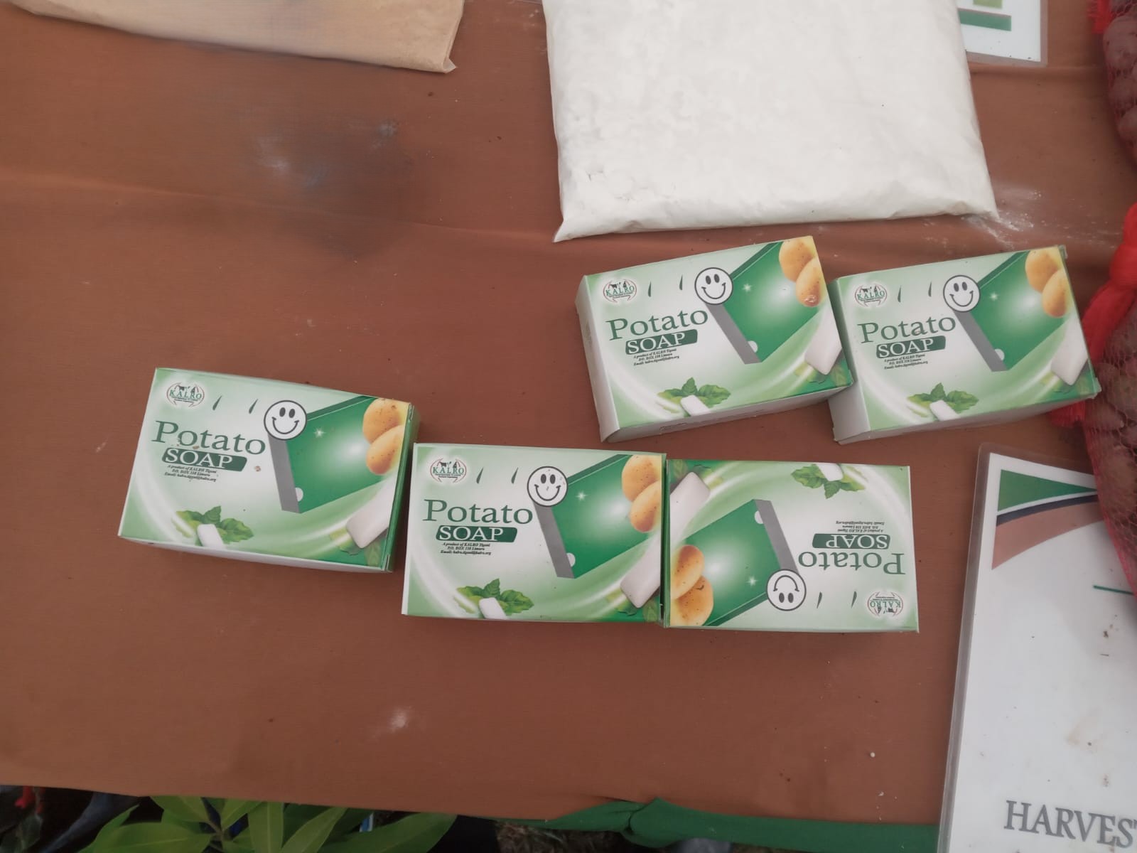 Beyond the Plate: How Potatoes Are Making Their Way into Bathrooms