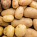 Nizhny Novgorod Region Exports Over 27,000 Tonnes of Potatoes in First Half of 2026