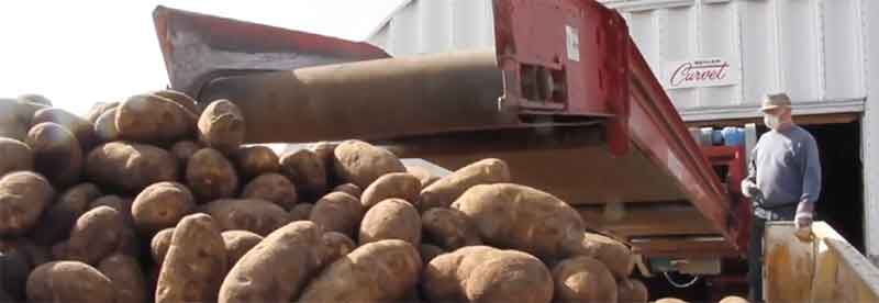 Abalimi Bamazambane BasePacific Northwest Babhekene Nomncintiswano Okhulayo Wokuthumela Ngaphandle Ovela EShayina