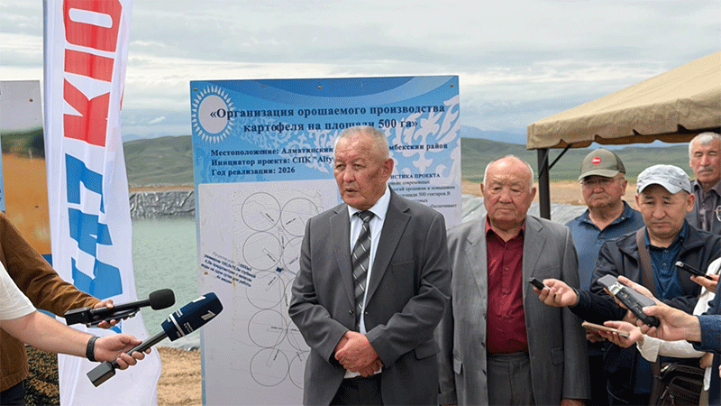 Revival of the Potato Homeland: Major Agricultural Project Launches in Narynkol