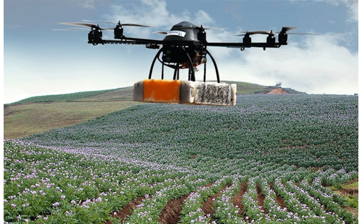PoMiFrance Launches: UPJV Leads European Push for Smarter, Greener Potato Production