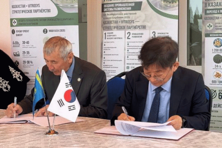 Kazakhstan Launches $10 Million Virus-Free Seed Potato Production Facility