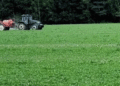 Yaroslavl Region Boosts Agricultural Support: Over $1.4 Million Allocated for Potato and Vegetable Production in 2026