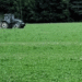 Yaroslavl Region Boosts Agricultural Support: Over $1.4 Million Allocated for Potato and Vegetable Production in 2026