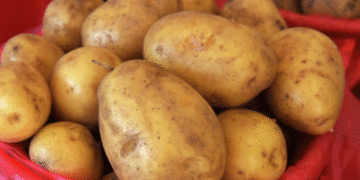 Essential Food Prices Drop Over 10% in First Half of 2026, Led by Potatoes and Vegetables