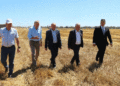 Early Potato Harvest Kicks Off in Bryansk Region with Yields Reaching 300 Centners per Hectare