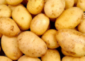 Russia’s Potato Imports from China Surge 1.7x in June, Yet Annual Decline Signals Structural Shift