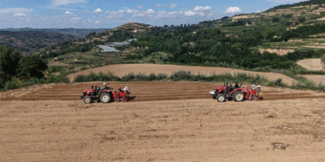 From Rapeseed Stubble to Potato Rows: Mechanized Crop Rotation Boosts Incomes in Gansu
