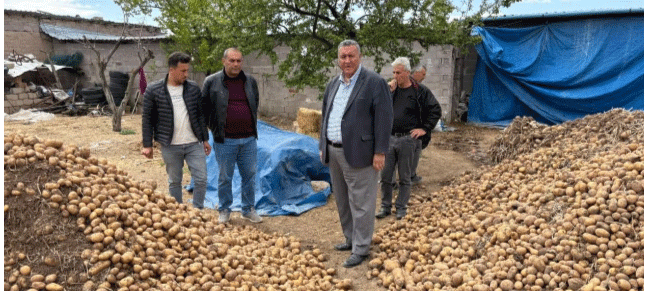 MP Gürer: "About 200,000 Tons of Potatoes Were Wasted in Niğde" – Lack of Planning Leads to Losses and Price Hikes 18 MP Gürer: “About 200,000 Tons of Potatoes Were Wasted in Niğde” – Lack of Planning Leads to Losses and Price Hikes