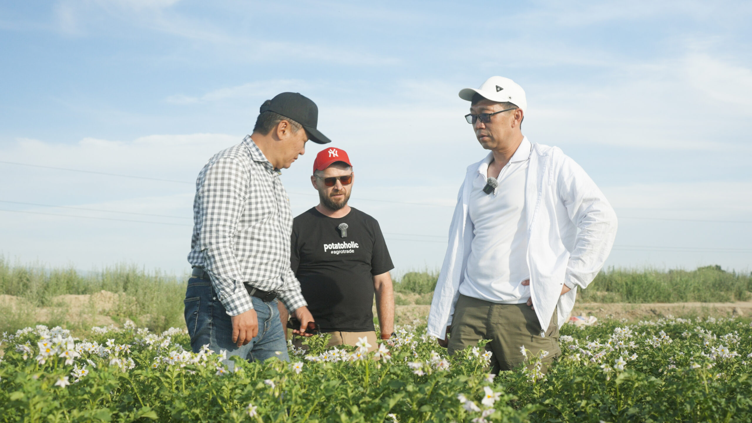 Dari Kebun Bawang hingga Kentang Goreng: Kisah Pertanian Petani "NAM" di Kazakhstan Tenggara