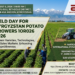 Innovations, Exports, and the International Potato Tour: Large-Scale Field Day for Kyrgyzstan Potato Growers 2026 to be Held in Issyk-Kul