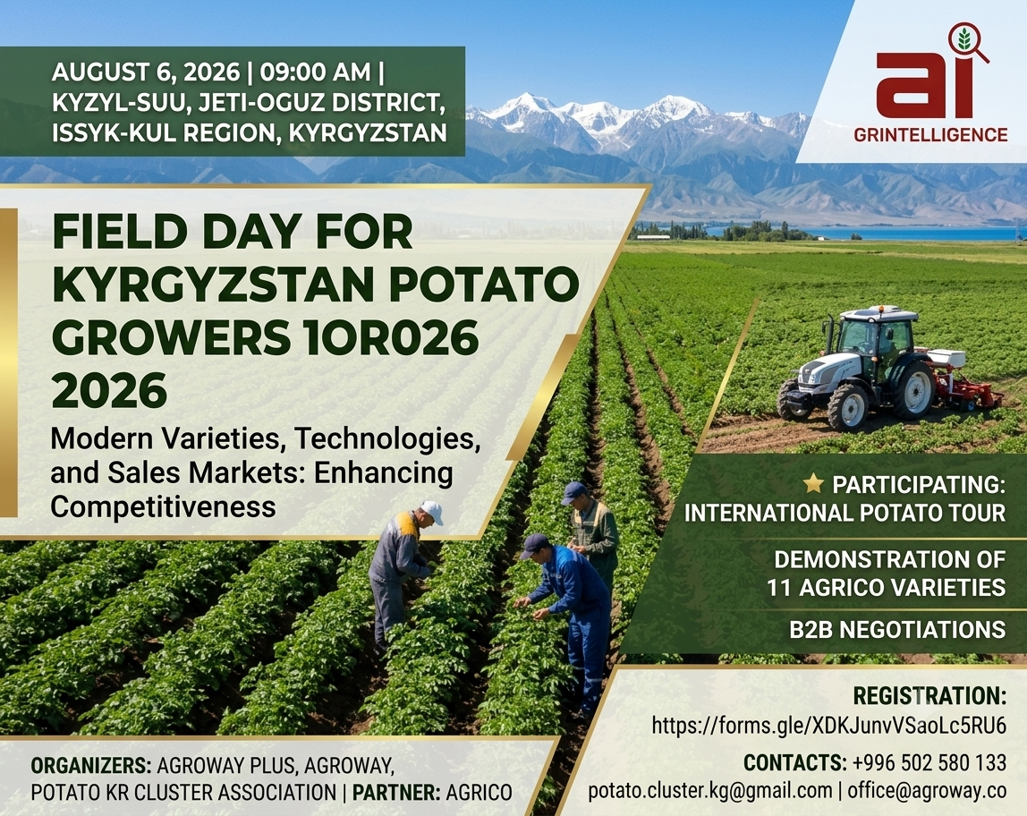 Innovations, Exports, and the International Potato Tour: Large-Scale Field Day for Kyrgyzstan Potato Growers 2026 to be Held in Issyk-Kul