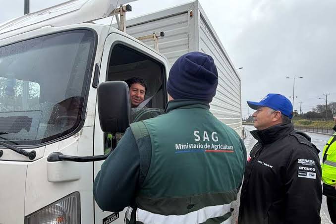 Tha SAG Biobío air còrr is 8.5 tunna de bhuntàta a ghlacadh gus inbhe saor bho cuarantine Arauco a dhìon