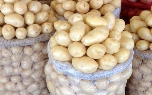 Brazil Potato Prices Decline as Harvest Expands and Productivity Recovers