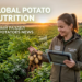 Global Potato Nutrition
