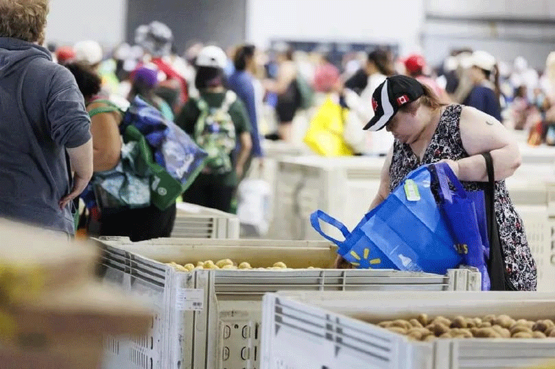 Surrey’s Ugly Potato Day Smashes Guinness World Record with Over 246,000 kg of Produce Donated