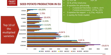 European Seed Potato Acreage Declines Slightly in 2026, with Notable Shifts in Leading Varieties
