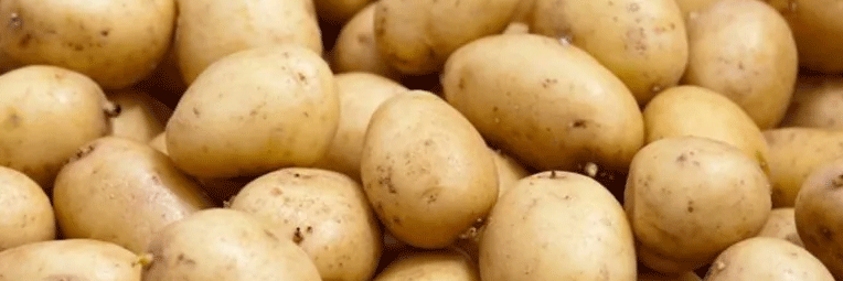 Tunisia Sets 2026 Potato Reserve at 12,392 Tonnes, with Nabeul Holding 61% of National Stock 9 Tunisia Sets 2026 Potato Reserve at 12,392 Tonnes, with Nabeul Holding 61% of National Stock
