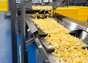 Společnost Taste of Maine spouští nový závod na výrobu bramborových lupínků Kettle Chip ve vápenci s využitím místních brambor a ambiciózních plánů růstu.
