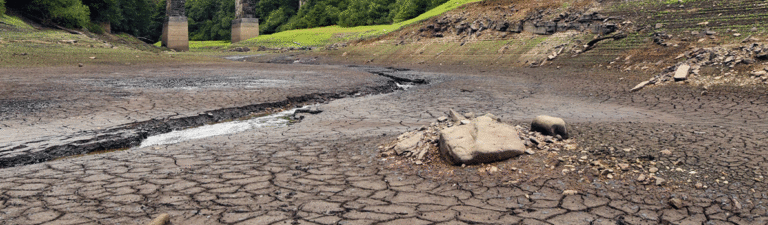 Westhoek Farmers Face Crisis as Buffer Basins Run Dry, Threatening Potato Harvest