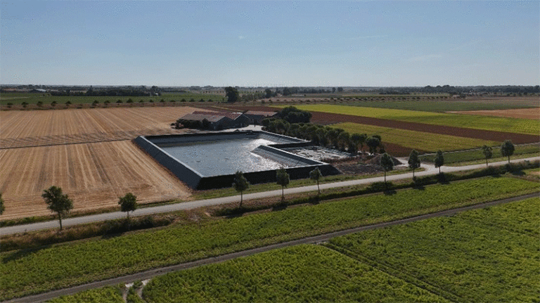 Beating the Drought: One Farmer’s Shift to Drip Irrigation Saves His Potato Crop 3 Beating the Drought: One Farmer’s Shift to Drip Irrigation Saves His Potato Crop