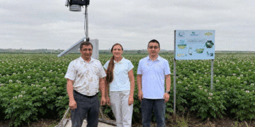 Kazakhstan, Russia, and China Join Forces on a Single Potato Field to Combat Late Blight with Smart Tech