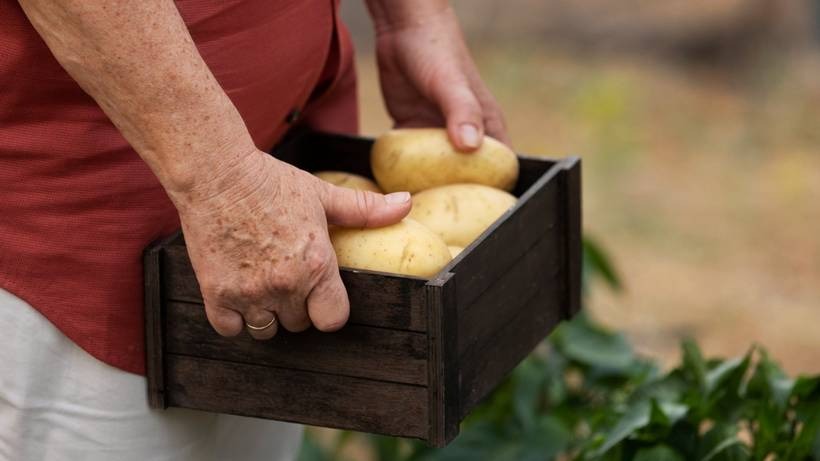Brasilien (Süden von Minas Gerais): Regionales Treffen bringt Kartoffelbauern und Branchenforscher zusammen