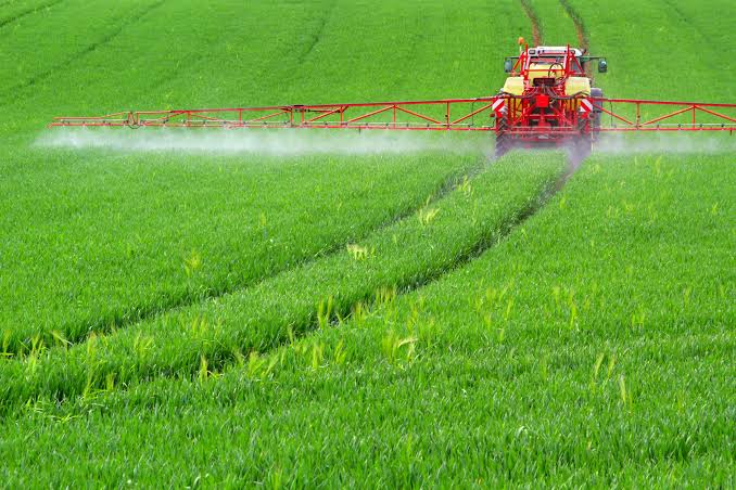 Applicazione mirata di fungicidi con irroratrice a barra in una coltivazione di patate ad alta densità. Fonte: Sumi Agro Russia.