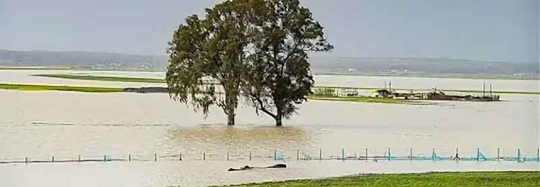 Morocco: Record Fresh Potato Imports After Floods 2 Morocco: Record Fresh Potato Imports After Floods