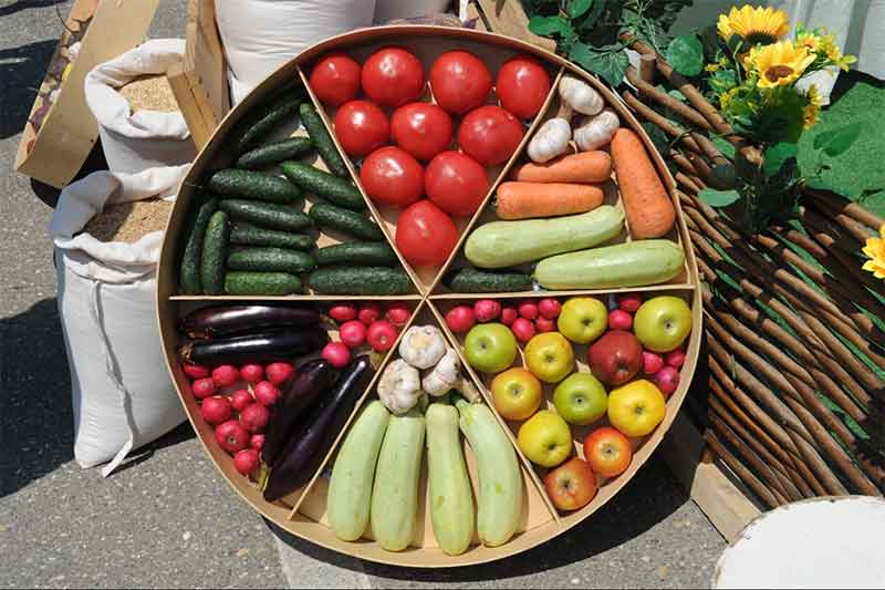 Dagestan Continues Active Harvest of Open-Ground Vegetables and Potatoes
