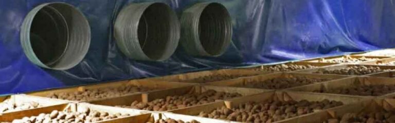 Graphene-Modified EPS Modular Stores Give Small Farmers Affordable Potato Storage 2 Graphene-Modified EPS Modular Stores Give Small Farmers Affordable Potato Storage