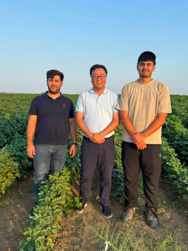 Expanding Agricultural Frontiers: Azerbaijan Explores Advanced Seed Genetics with Xinjiang Jinghua
