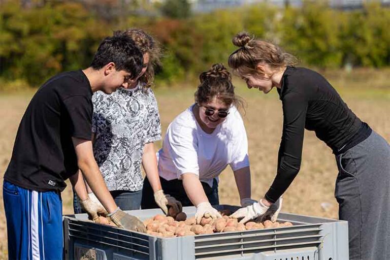 Students of the Institute of Agrobiotechnology Harvest Over 23 Tonnes of Potatoes