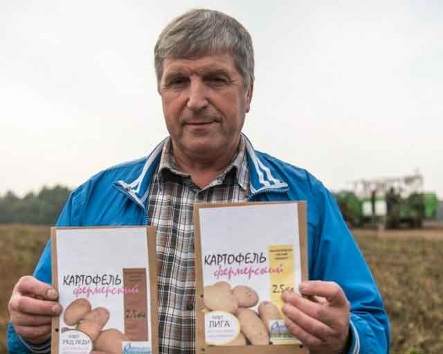 Karelian Farmer Grows 15 Potato Varieties on 38 Hectares, Targets 300+ Tonnes