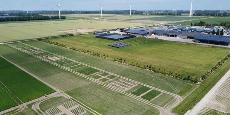 PotatoEurope 2026 Lands in Germany with Record Exhibitor Numbers and a Permanent Home