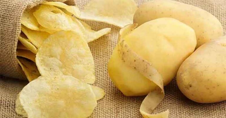 A região de Zhetisu, no Cazaquistão, produz a primeira safra de batatas destinada à produção de chips. A região de Zhetisu, no Cazaquistão, produz a primeira safra de batatas destinada à produção de chips.