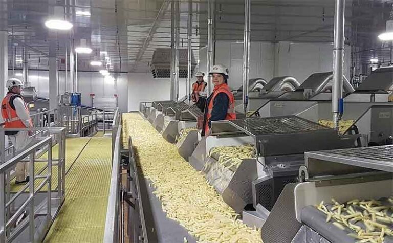 Agristo Commits €350 Million to New French Mega-Plant in Hauts-de-France, Creating 300 Jobs