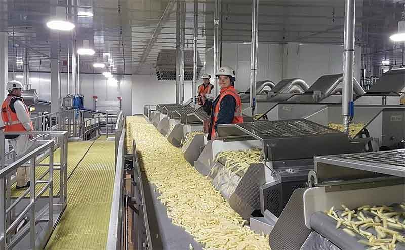 Agristo Commits €350 Million to New French Mega-Plant in Hauts-de-France, Creating 300 Jobs