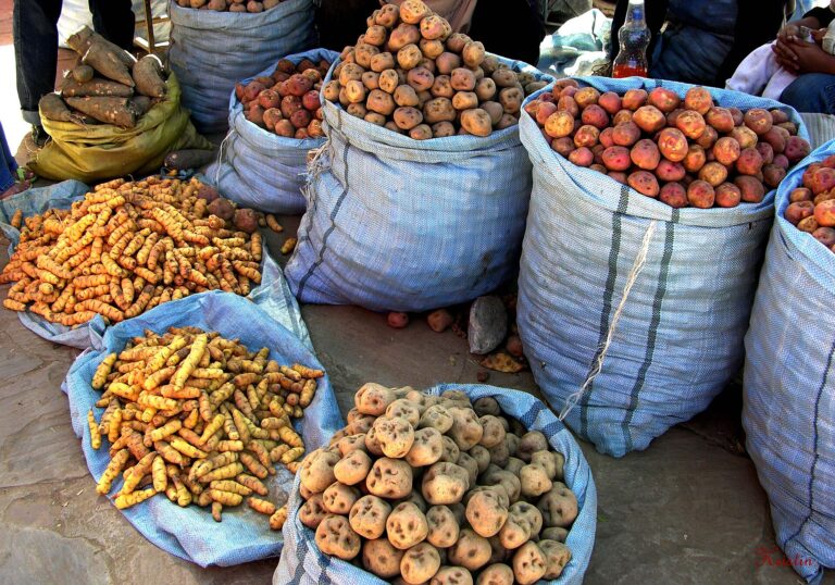 Native potatoes at the weekly market in Cochabamba, Bolivia