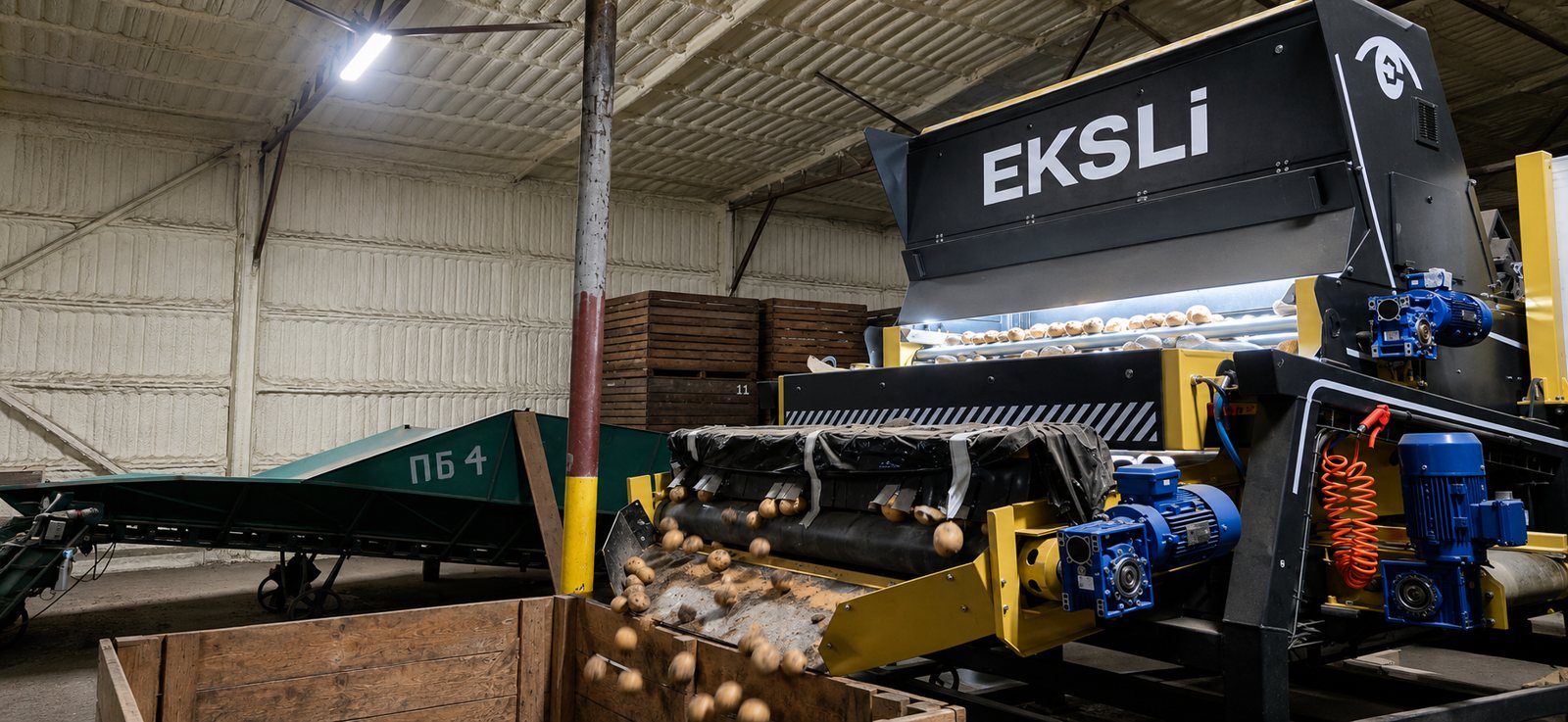 EKSLi equipment on a potato grading line