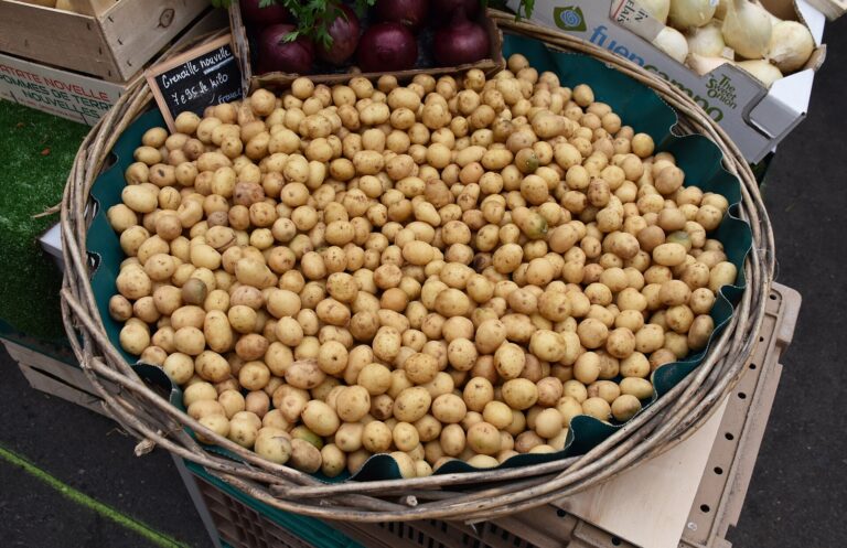 Small potatoes for sale at a market in France