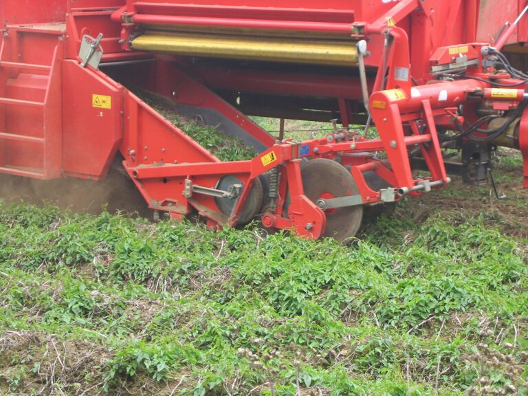 Global: Tubers Bruise Far More Easily When Pulp Temperature Falls Below 7 °C 4 Mechanised potato harvest in Brittany, France