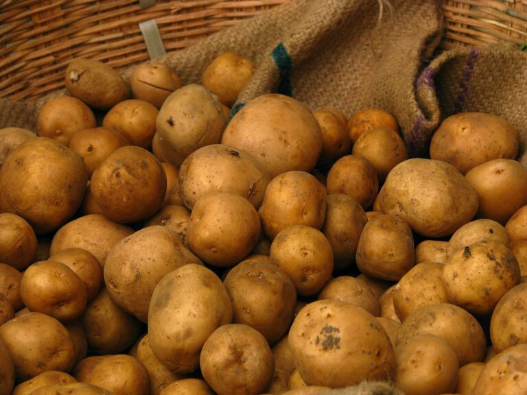 Potatoes at Koyambedu wholesale market, Chennai, India