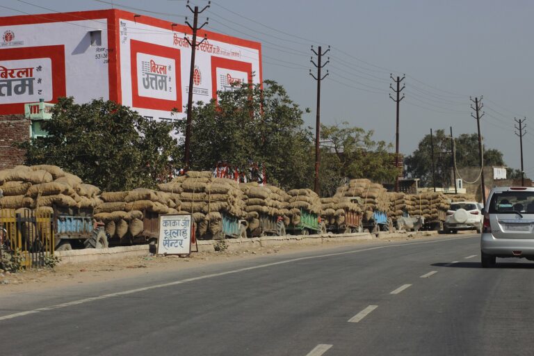 Potatoes being transported to a cold store in India
