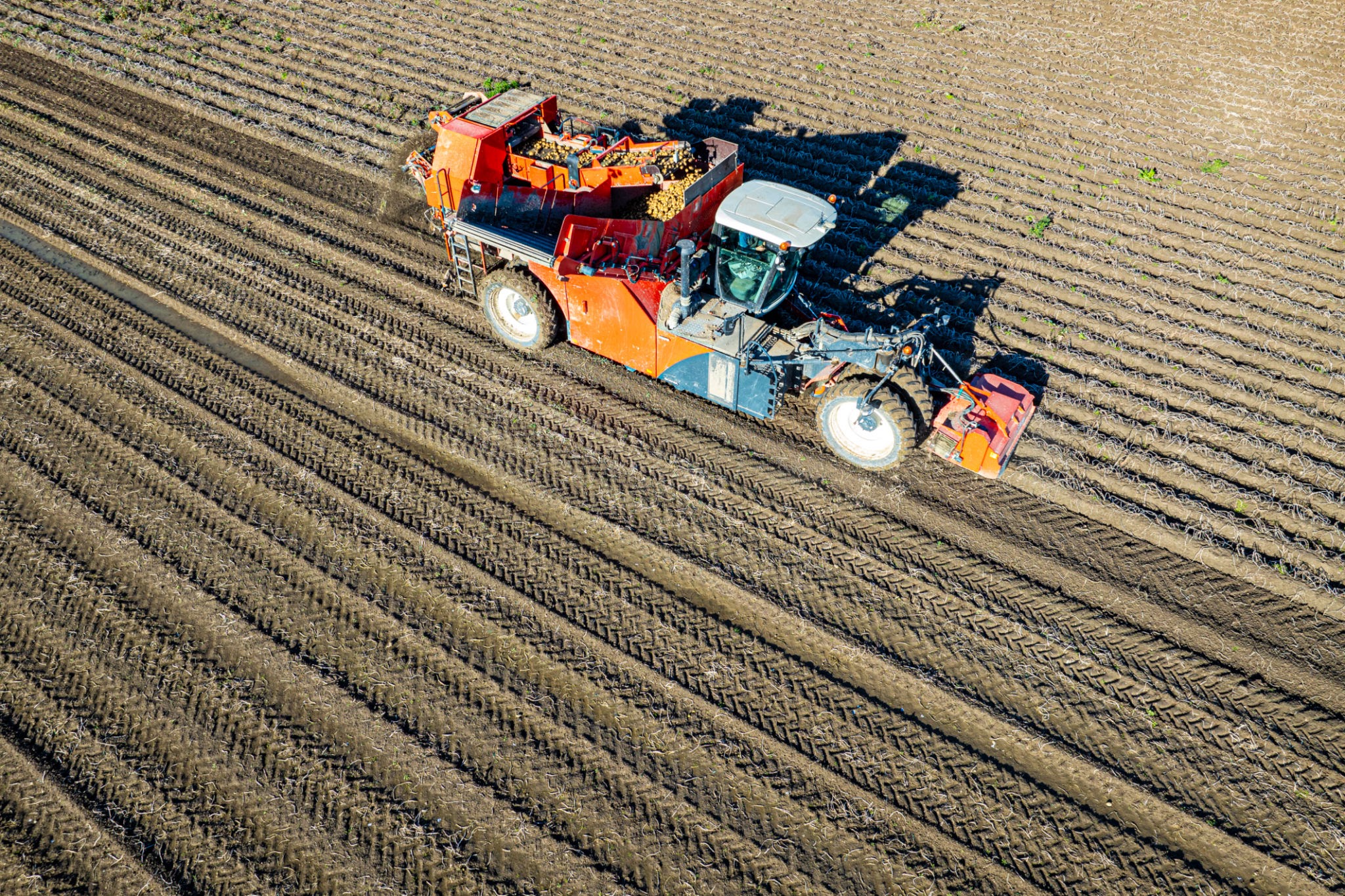 New or Rebuilt? How to Calculate the True Cost of Potato Harvesting