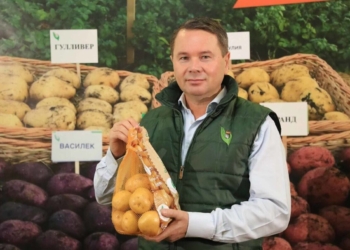 Молянов агро тобының тұқымдық картопы