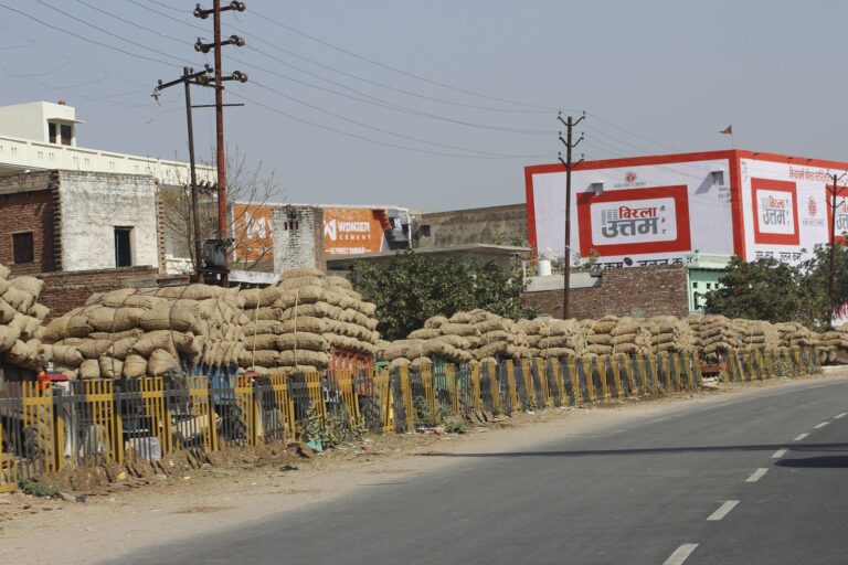 Potatoes being taken to a cold store in India