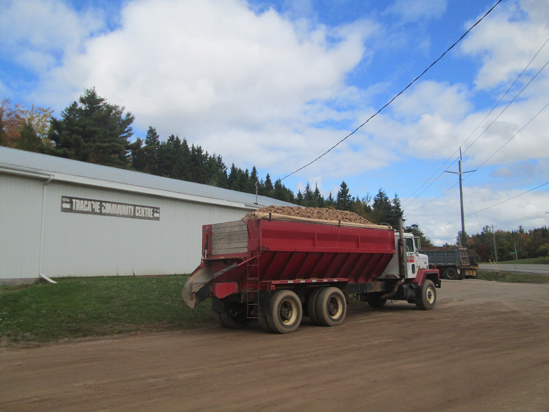 A bulk load of potatoes on a truck